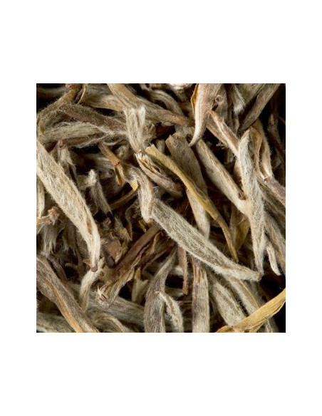 Cha a Granel Dammann Jasmin Yin Zhen 500g