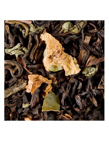 Cha a Granel Dammann Oolong Chataigne 500g