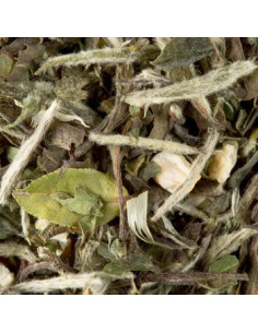 Cha a Granel Dammann Great Earl Grey 250g
