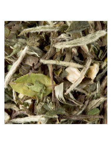 Cha a Granel Dammann Great Earl Grey 250g