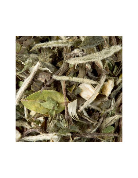 Cha a Granel Dammann Great Earl Grey 250g
