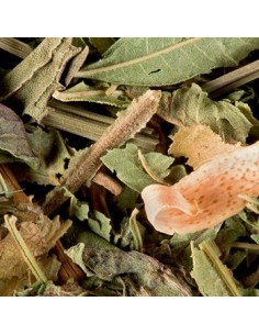 Cha a Granel Dammann Tisane du Berger 250g
