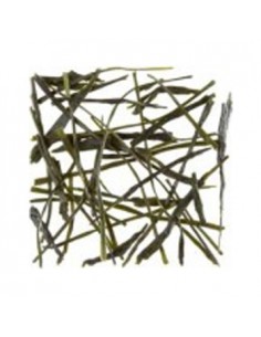 Cha a Granel Dammann Sencha Tensu 1Kg