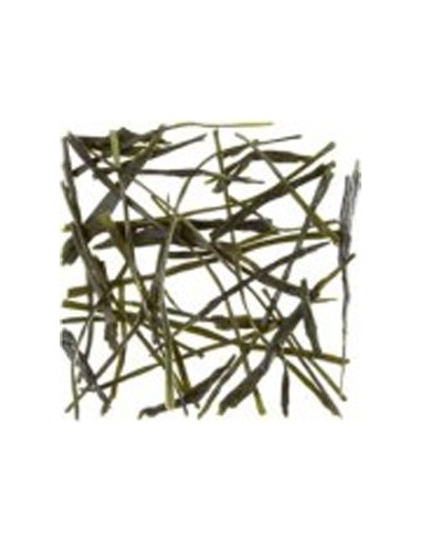 Cha a Granel Dammann Sencha Tensu 1Kg