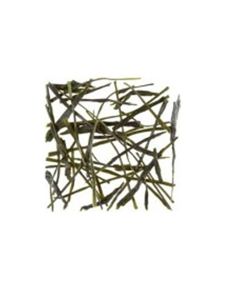 Cha a Granel Dammann Sencha Tensu 1Kg