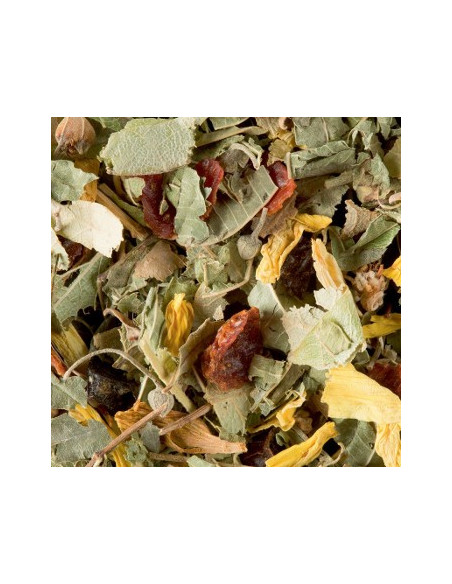 Cha a Granel Dammann Tisane de la Reyne 250g
