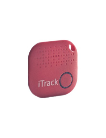 Localizador Bluetooth Objetos / Animais Domésticos iTrack2