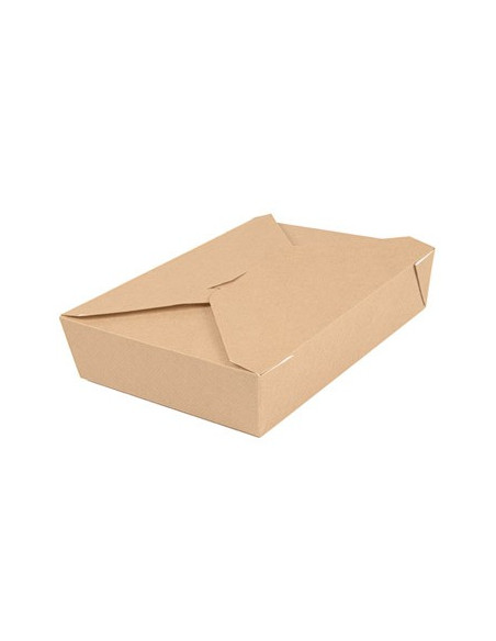 Caixa Cartolina Kraft THEPACK 19,6x14x4,5cm 1470ml 50un