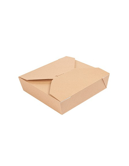 Caixa Cartolina Kraft THEPACK 21,7x21,7x6cm 2910ml 100un