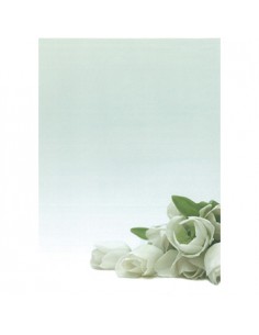 Papel Temático Flor Branca A4 90g 20 Folhas