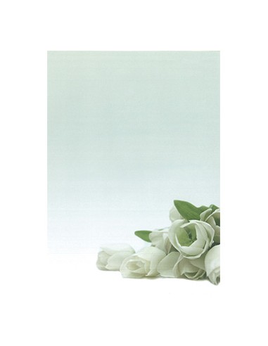 Papel Temático Flor Branca A4 90g 20 Folhas