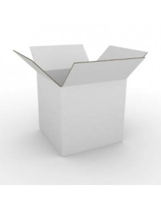 Caixa 350x250x200mm Cartao Duplo Branco Pack 10un