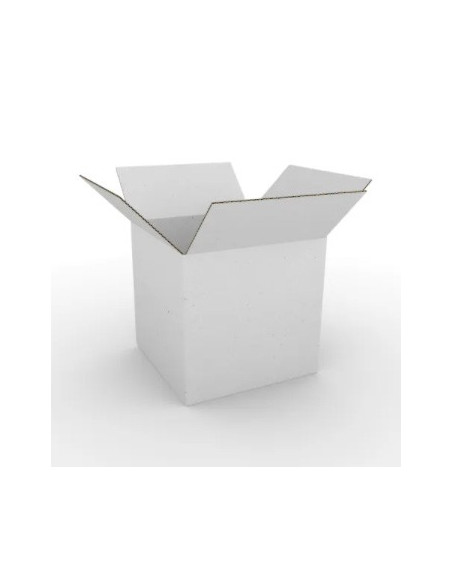 Caixa 350x250x200mm Cartao Duplo Branco Pack 10un