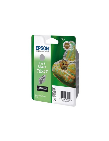 Tinteiro Stylus Photo 2100 (T034740) Cinzento