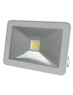 Projetor LED Branco Neutro 20W Branco