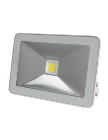 Projetor LED Branco Neutro 20W Branco