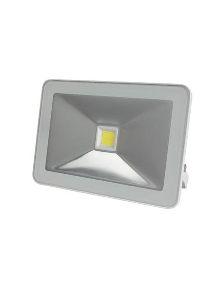 Projetor LED Branco Neutro 20W Branco