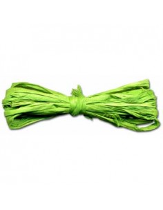 Fio Rafia Novelo 40gr Verde Claro