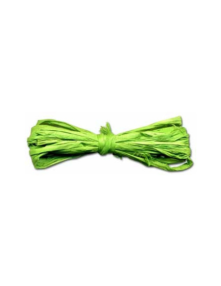 Fio Rafia Novelo 40gr Verde Claro