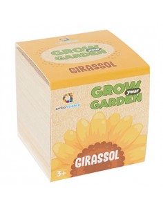 Grow your Garden Girassóis Ambarsciense