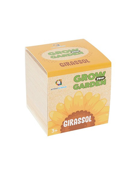 Grow your Garden Girassóis Ambarsciense