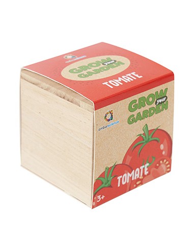 Grow your Garden Tomate Ambarsciense