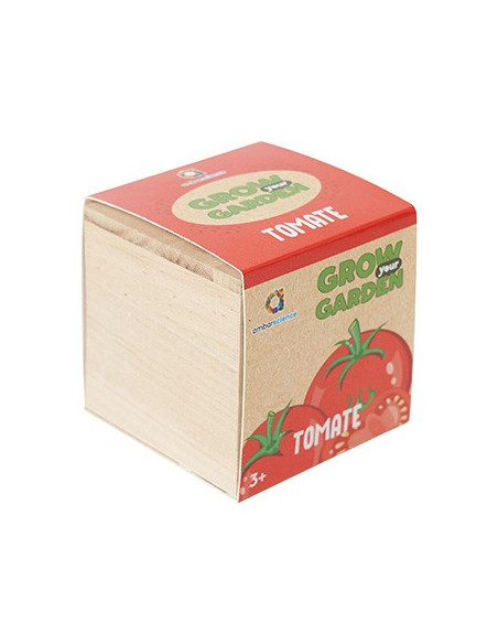 Grow your Garden Tomate Ambarsciense