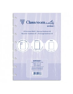 Recarga p/Caderno Inteligente Ambar EcoSmart A5 100Fl Liso