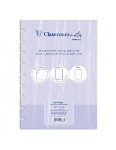 Recarga p/Caderno Inteligente Ambar EcoSmart B5 100Fl Liso