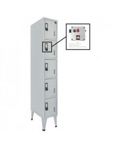 Cacifos Metálicos Simples 5 Cacifos 300x500x1900mm Cinza
