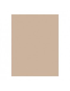 Papel Anti-Gordura 34g 28x34cm 1000un