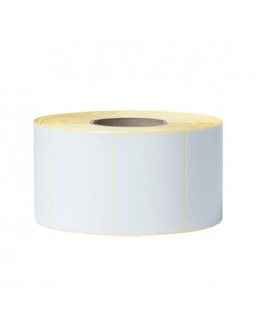 Etiquetas Pré-Cortadas Mate 102x74mm 4 Rolos