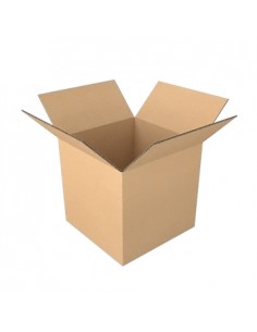 Caixa Cartão Simples 230x230x230mm 25un