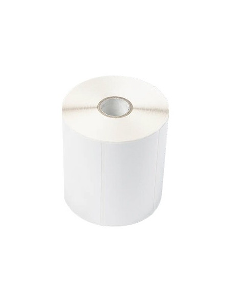 Etiquetas Pré-Cortadas com Revestimento 105x74mm 6 Rolos