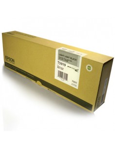 Tinteiro Epson SP11880 Cinzento Claro