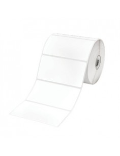 Etiquetas Térmicas Protegidas 102x50mm Rolo 8un