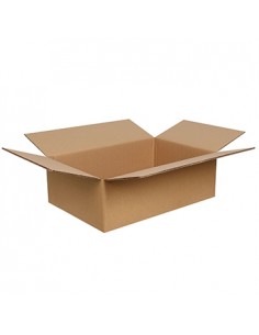 Caixa Cartão Duplo 600x400x200mm (0,048m3) 10un
