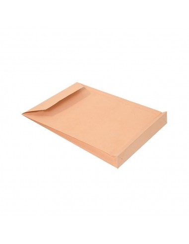 Envelopes Saco 250x353mm Kraft 100gr C/Fole 6cm 250un