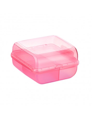 Caixa Sandwich Moss 14,5x14,5x8cm Rosa