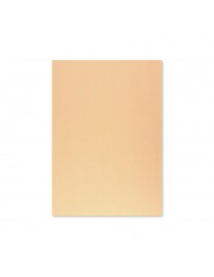 Cartolina 50x65cm Papaia 6 180g 1 Folha