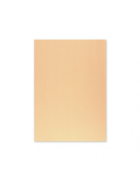 Cartolina 50x65cm Papaia 6 180g 1 Folha