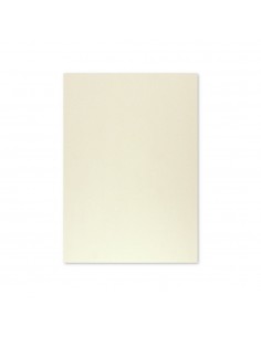 Cartolina 50x65cm Cinzento 9 180g 1 Folha