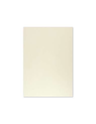 Cartolina 50x65cm Cinzento 9 180g 1 Folha