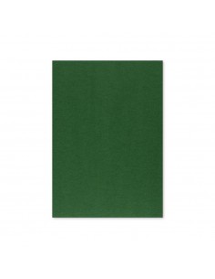 Cartolina 50x65cm Verde Escuro 3C 250g 1 Folha