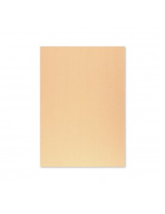 Cartolina 50x65cm Papaia 6 250g 1 Folha