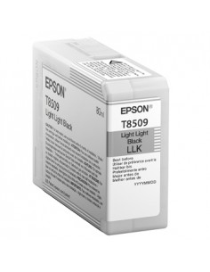 Tinteiro SureColor SC-P800 Preto