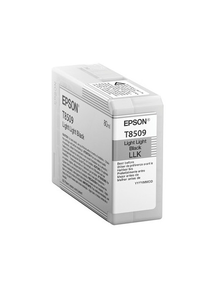 Tinteiro SureColor SC-P800 Preto