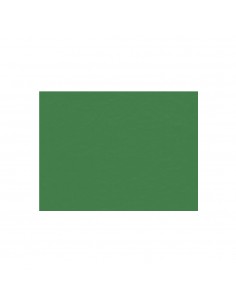 Papel Seda Verde Escuro 50x75cm 25fls