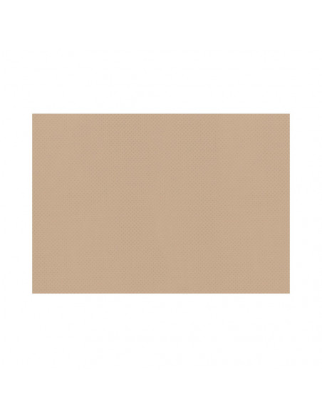 Toalha Mesa TNT 30x40cm 55gr Bege 250un