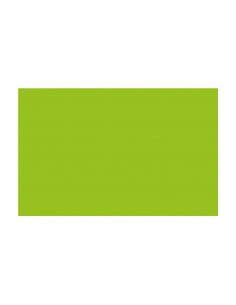 Placa de Cor Musgami 50x70cm Verde Claro 1un